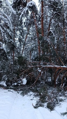 Высота сугробов в посёлке Тума Клепиковского достигла 59 сантиметров